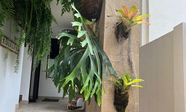 Casa de venta en Punta Blanca