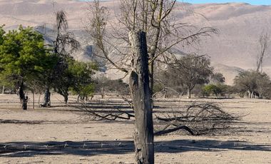 PARCELACION LA MACARENA-INTERIOR PIEDRA COLGADA