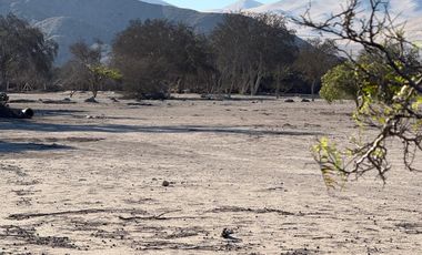 PARCELACION LA MACARENA-INTERIOR PIEDRA COLGADA