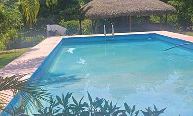 HUERTA DE LIMON SIN SEMILLA EN VENTA