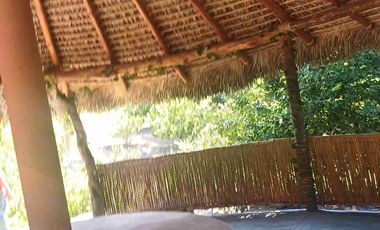 HUERTA DE LIMON SIN SEMILLA EN VENTA