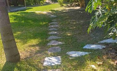 HUERTA DE LIMON SIN SEMILLA EN VENTA