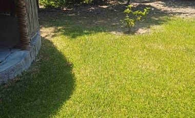 HUERTA DE LIMON SIN SEMILLA EN VENTA