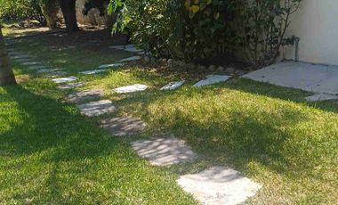 HUERTA DE LIMON SIN SEMILLA EN VENTA