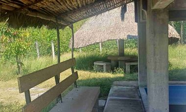 HUERTA DE LIMON SIN SEMILLA EN VENTA