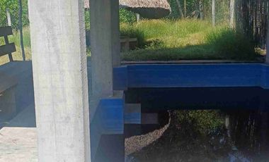 HUERTA DE LIMON SIN SEMILLA EN VENTA