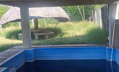 HUERTA DE LIMON SIN SEMILLA EN VENTA