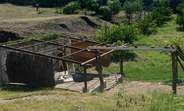 HUERTA DE LIMON SIN SEMILLA EN VENTA