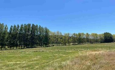 Parcelas El Dorado, lotes de 1.5 ha