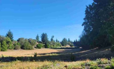 Parcelas El Dorado, lotes de 1.5 ha