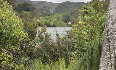 Hermosa Parcela en Fundo Elena camino a Corral