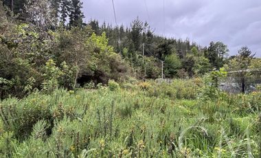 Hermosa Parcela en Fundo Elena camino a Corral