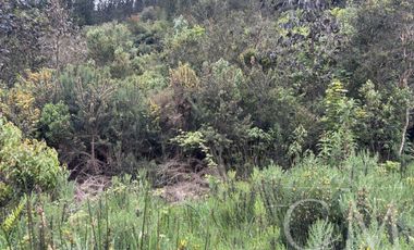 Hermosa Parcela en Fundo Elena camino a Corral