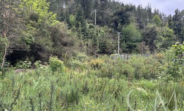 Hermosa Parcela en Fundo Elena camino a Corral