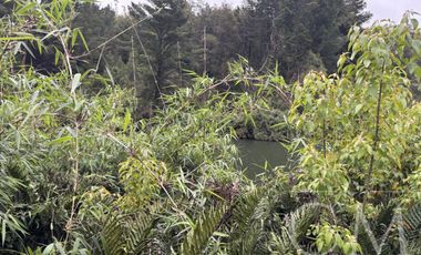 Hermosa Parcela en Fundo Elena camino a Corral