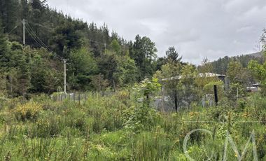 Hermosa Parcela en Fundo Elena camino a Corral