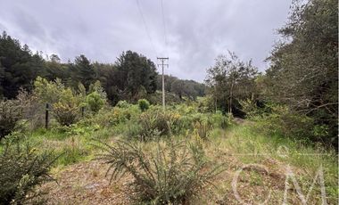 Hermosa Parcela en Fundo Elena camino a Corral