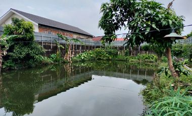 Dijual Tanah Bonus Rumah Dan Kolam Ikan Ditengah Kota Palembang Bisa Nego