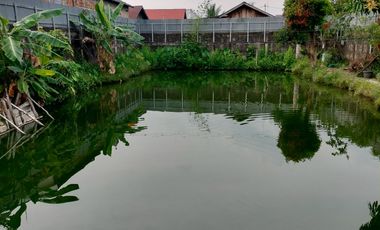 Dijual Tanah Bonus Rumah Dan Kolam Ikan Ditengah Kota Palembang Bisa Nego