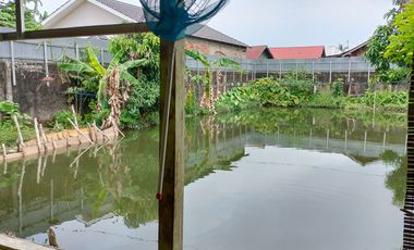 Dijual Tanah Bonus Rumah Dan Kolam Ikan Ditengah Kota Palembang Bisa Nego