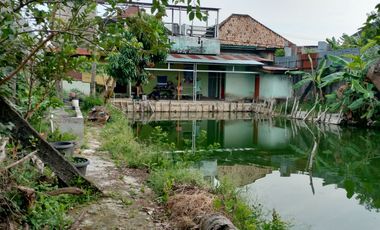 Dijual Tanah Bonus Rumah Dan Kolam Ikan Ditengah Kota Palembang Bisa Nego