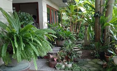 Luxury Home Ready to Move In in Sleman!