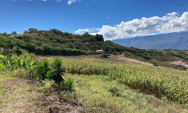 HERMOSOS TERRENOS EN VENTA EN YUNGUILLA