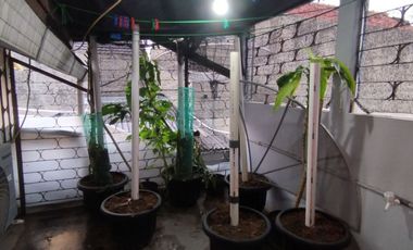 Di Jual Murah Rumah RAPIH di Perumnas Depok 2 Tengah