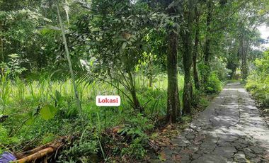 JUAL TANAH DI BUMIREJO LENDAH KULONPROGO