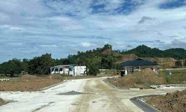 AFFORDABLE AND PAG IBIG FINANCING  HOUSE AND LOT FOR SALE IN ANTIPOLO CITY