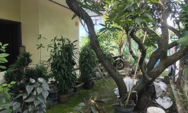 SUPER MURAH*TURUN HARGA*JUAL CEPAT RUMAH LUAS MAINROAD JALAN BATUNGGAL