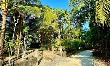 House with Land for Sale – 7 Rai, by Takua Pa Canal, Peaceful and Private Natural Setting