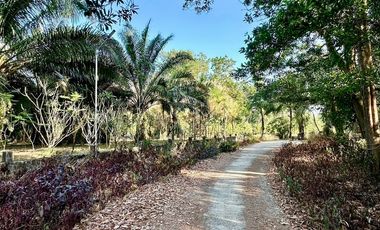 House with Land for Sale – 7 Rai, by Takua Pa Canal, Peaceful and Private Natural Setting