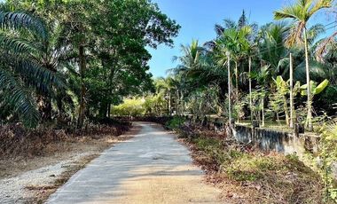 House with Land for Sale – 7 Rai, by Takua Pa Canal, Peaceful and Private Natural Setting