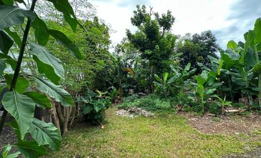 Tanah 160 m2 (10x16) Siap Bangun di Jl Aselih Jagakarsa Jakarta