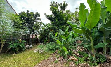 Tanah 160 m2 (10x16) Siap Bangun di Jl Aselih Jagakarsa Jakarta