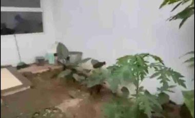 RUMAH SEWA PEJATEN BARAT PASAR MINGGU JAKARTA SELATAN