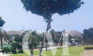 Venta Terreno de Playa - Alto Bujama