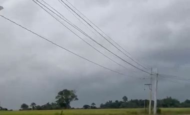 With Title 30 hectares land in Guimba Nueva Ecija