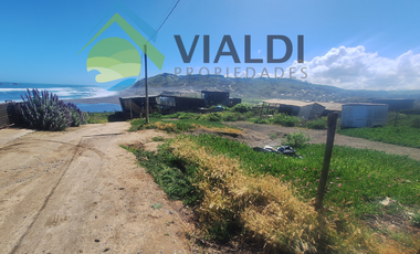 Oportunidad De Inversión En La Vega De Pupuya, Sexta Región