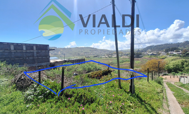 Oportunidad De Inversión En La Vega De Pupuya, Sexta Región