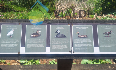 Oportunidad De Inversión En La Vega De Pupuya, Sexta Región