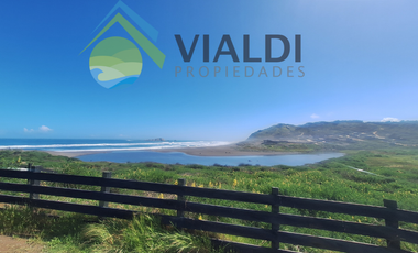 Oportunidad De Inversión En La Vega De Pupuya, Sexta Región