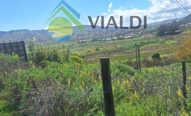 Oportunidad De Inversión En La Vega De Pupuya, Sexta Región