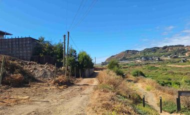 Oportunidad De Inversión En La Vega De Pupuya, Sexta Región