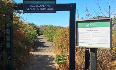 Oportunidad De Inversión En La Vega De Pupuya, Sexta Región