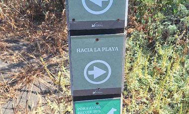 Oportunidad De Inversión En La Vega De Pupuya, Sexta Región