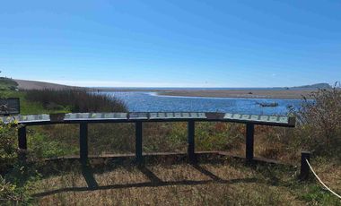 Oportunidad De Inversión En La Vega De Pupuya, Sexta Región