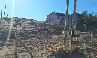 Oportunidad De Inversión En La Vega De Pupuya, Sexta Región