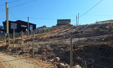 Oportunidad De Inversión En La Vega De Pupuya, Sexta Región